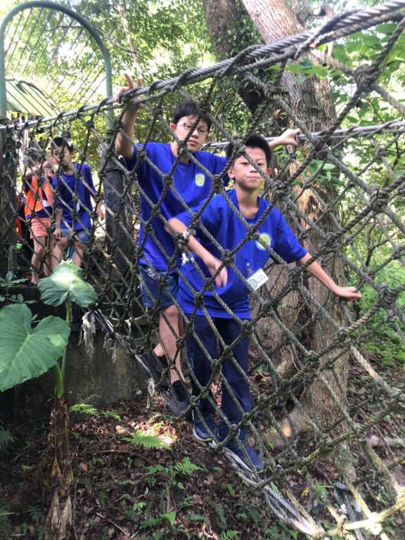 6338屏東縣109年自立童軍多元學習探索體驗營相片圖示