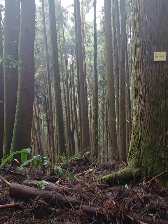 相片album_653f0df89c882.jpg圖示