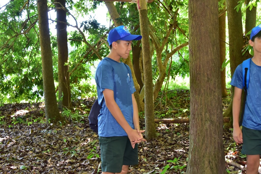 相片album_669a07582dbe8.jpg圖示