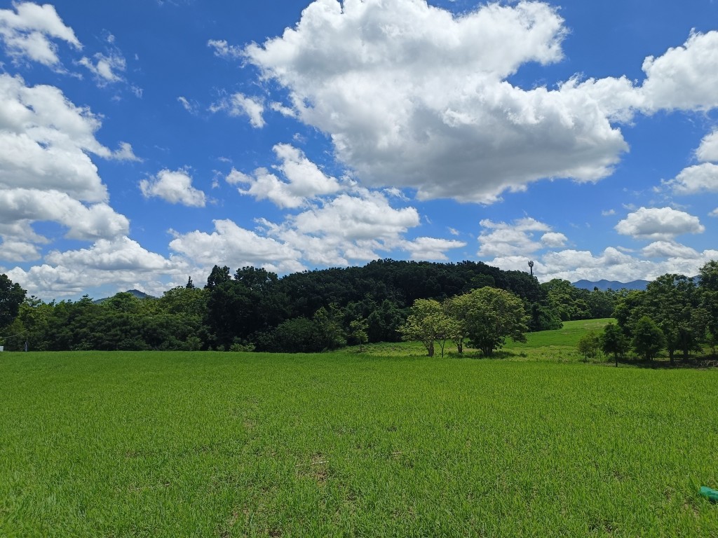相片album_669a07ac2bc95.jpg圖示