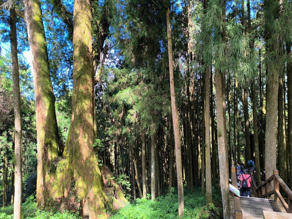 相片album_6705c2791747b.jpg圖示