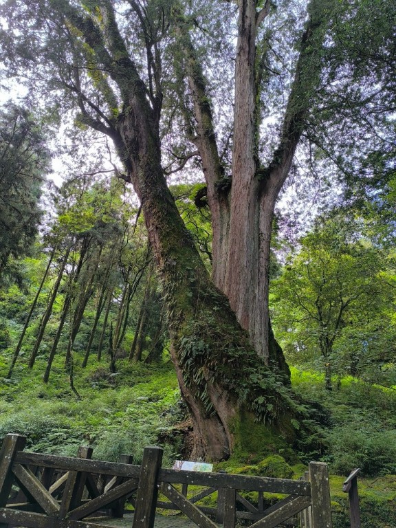 相片album_6705c27a0adf1.jpg圖示
