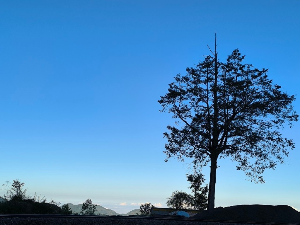 相片album_6705c27a7fc56.jpg圖示