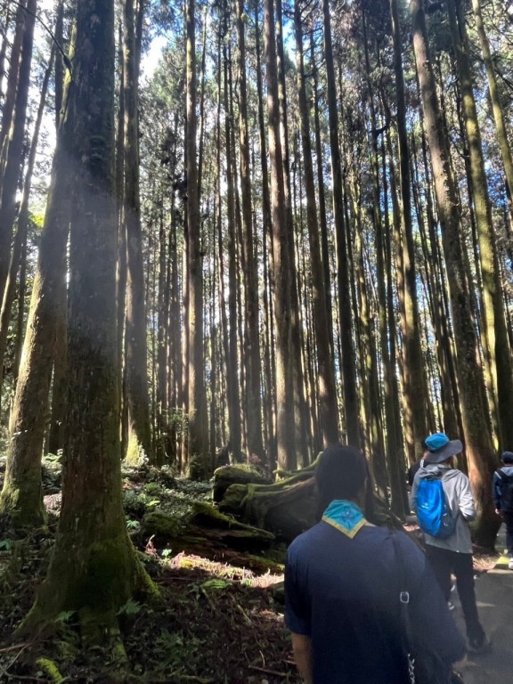 相片album_6705c2e97ecbd.jpg圖示
