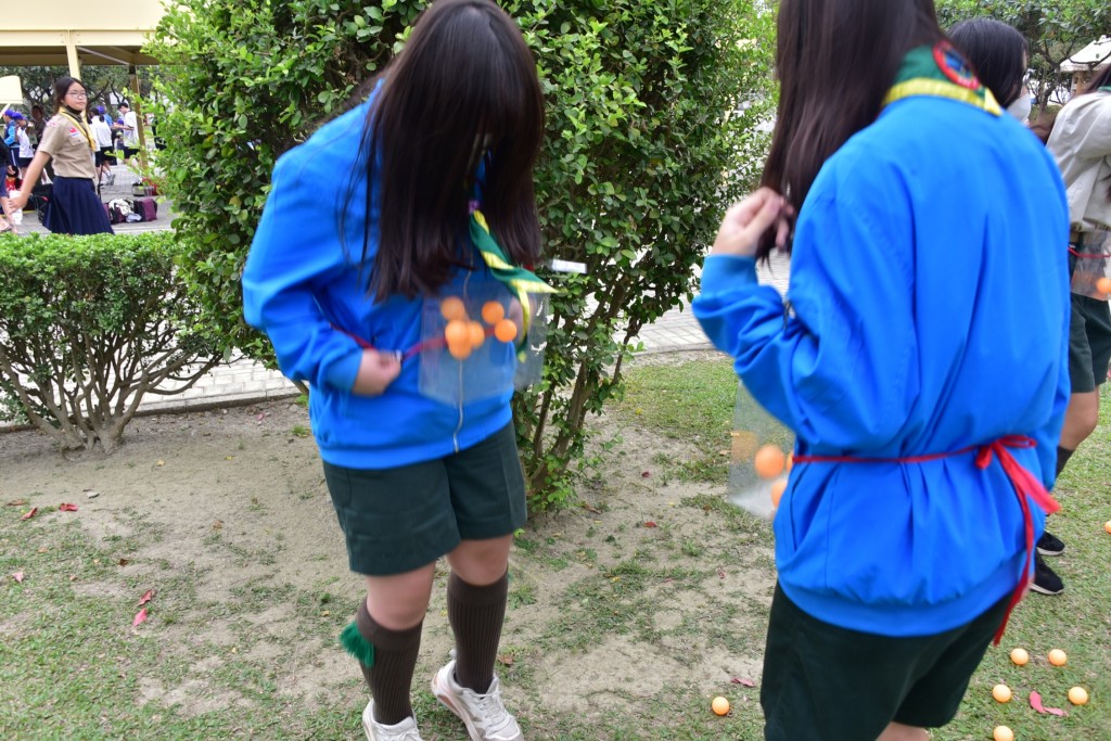 相片album_67da450e4df73.jpg圖示