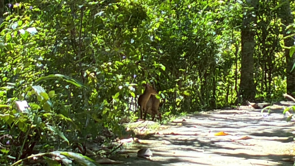 相片album_68d1ef9761473.jpg圖示