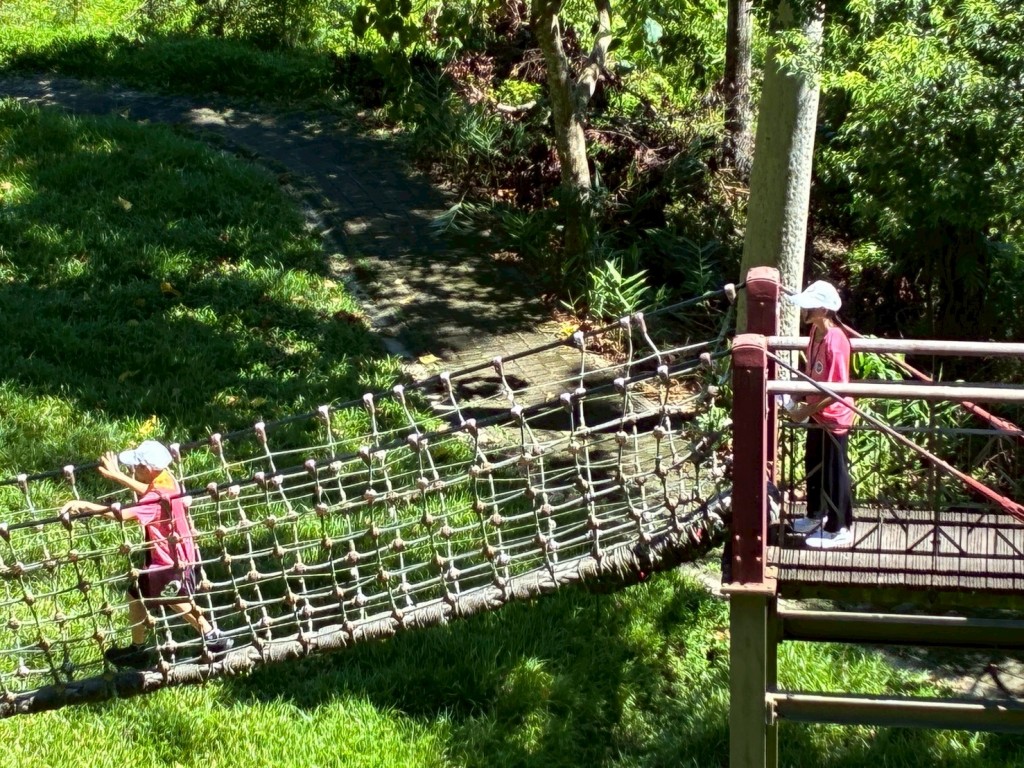 相片album_68d1ef978d38f.jpg圖示