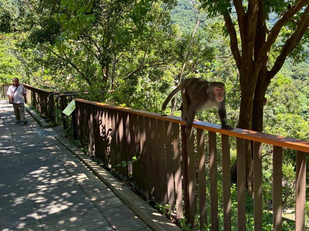 相片album_68d1ef993c2cc.jpg圖示