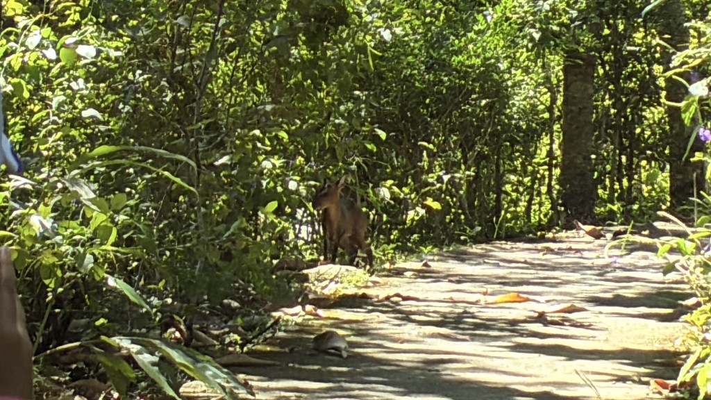 相片album_68d1efa086640.jpg圖示