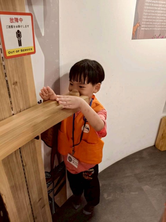 相片album_68d1efa7b7a4b.jpg圖示