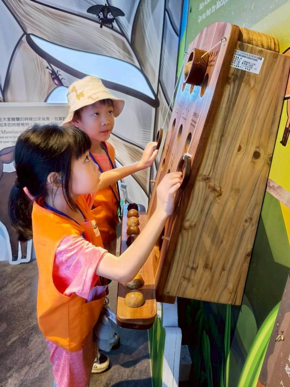 相片album_68d1efab8d394.jpg圖示