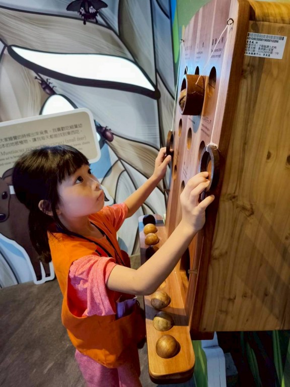 相片album_68d1efabb5484.jpg圖示