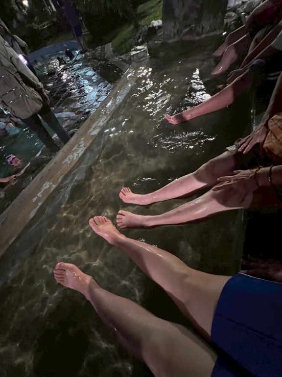 相片album_68d1efb2d6229.jpg圖示