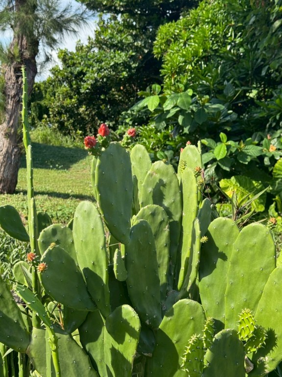 相片album_68d1efbb5c653.jpg圖示