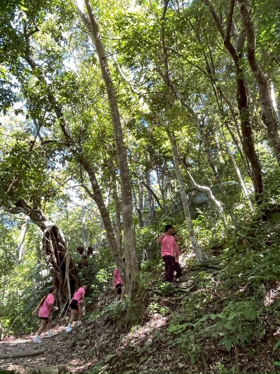 相片album_68d1efcfa4a91.jpg圖示