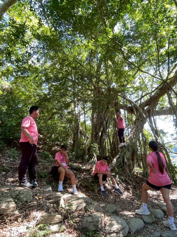 相片album_68d1efcfcfa11.jpg圖示