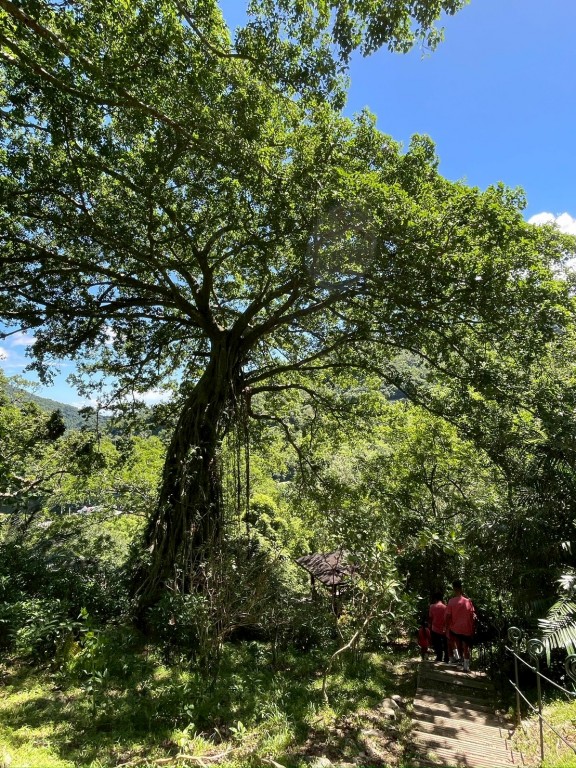 相片album_68d1efd23c2b1.jpg圖示