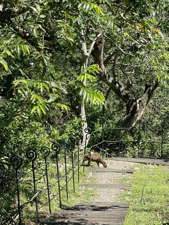 相片album_68d1efd49cd93.jpg圖示