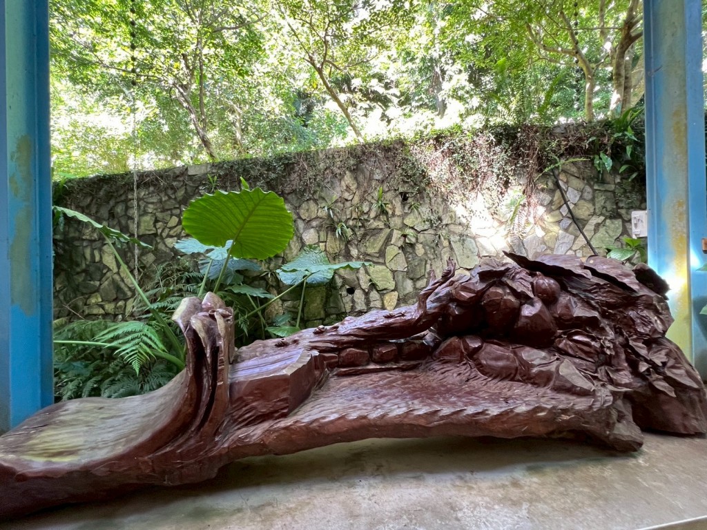 相片album_68d1f0240a5e5.jpg圖示