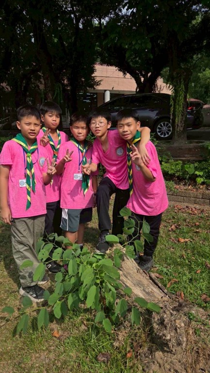 相片album_6912ad122cacf.jpg圖示