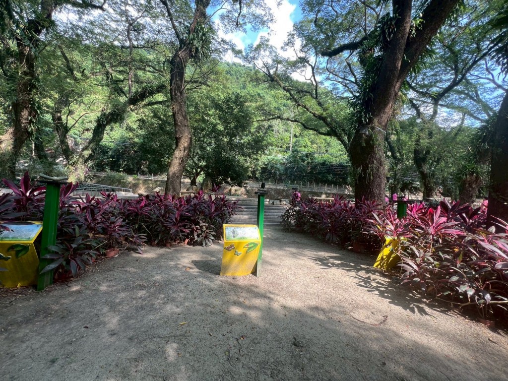 相片album_6912ad51a5c4c.jpg圖示