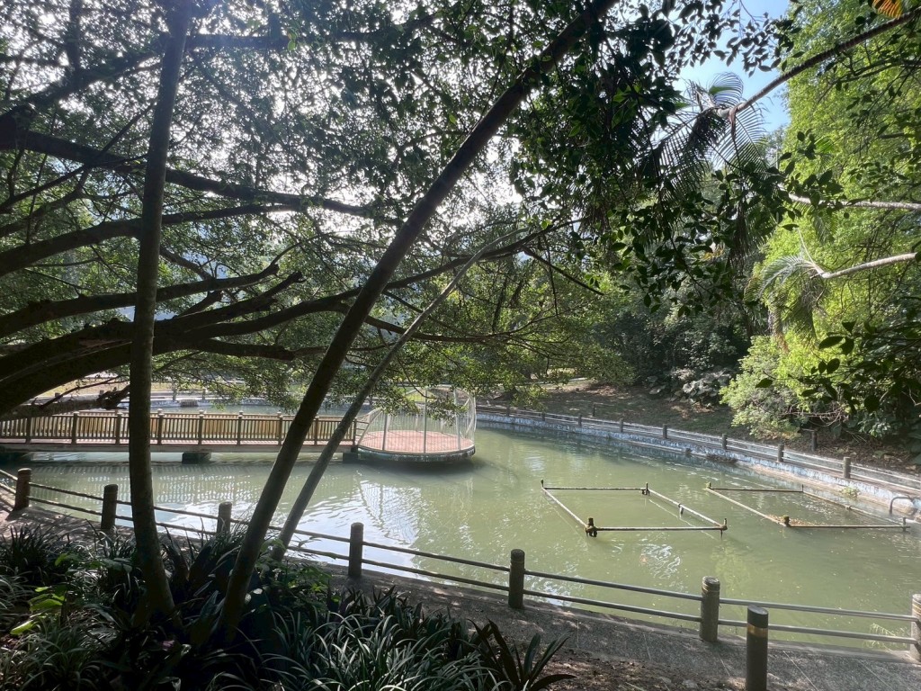 相片album_6912ad51e53f0.jpg圖示