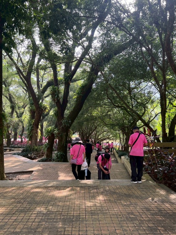 相片album_6912ad5224dcf.jpg圖示