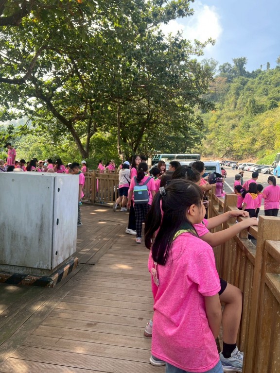 相片album_6912ad5bd59f3.jpg圖示