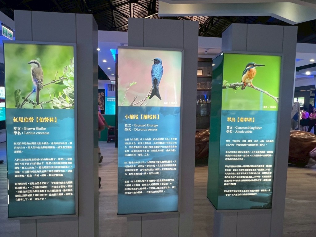 相片album_6912ad5f298ed.jpg圖示