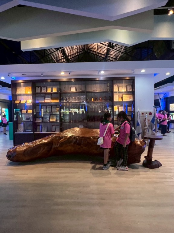 相片album_6912ad5f4229e.jpg圖示