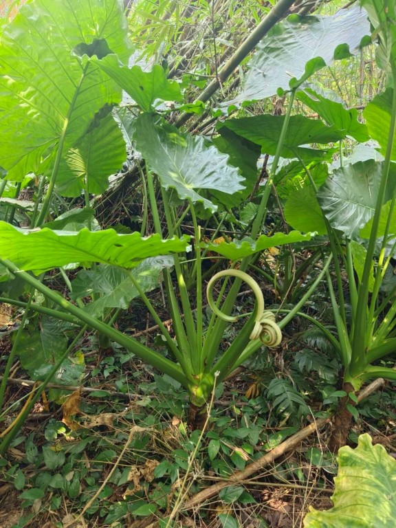 相片album_69253406dd6ec.jpg圖示