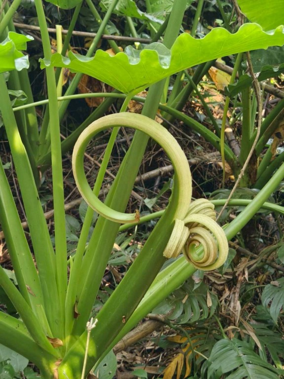 相片album_6925340796250.jpg圖示