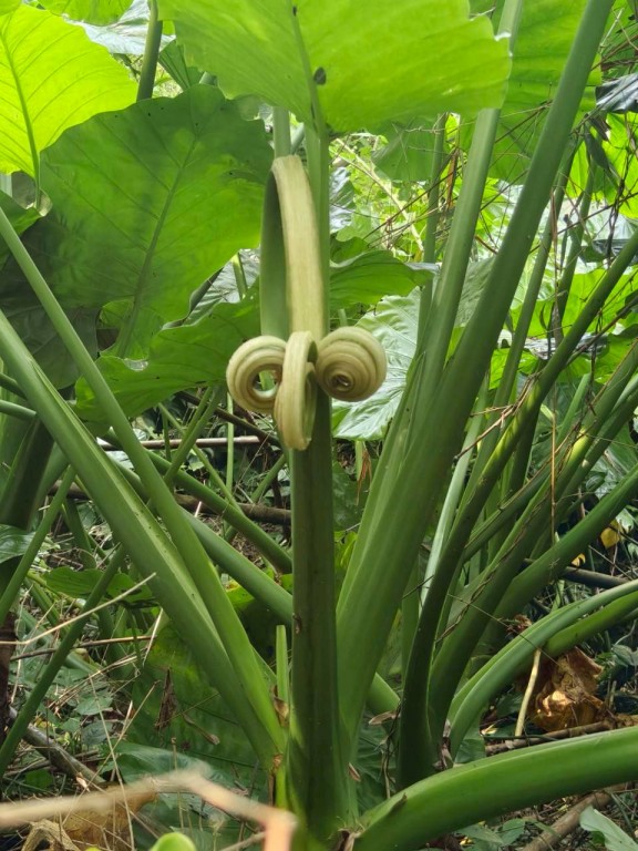 相片album_69253407cbdad.jpg圖示