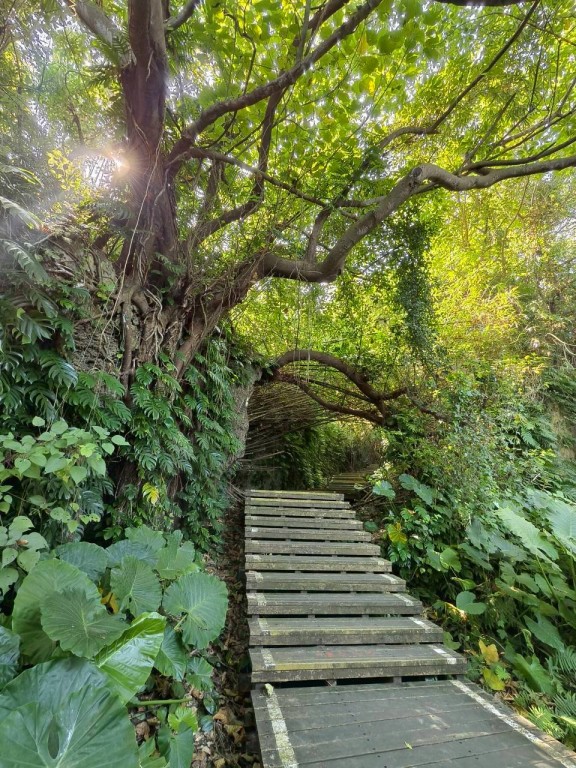 相片album_69253407df08c.jpg圖示