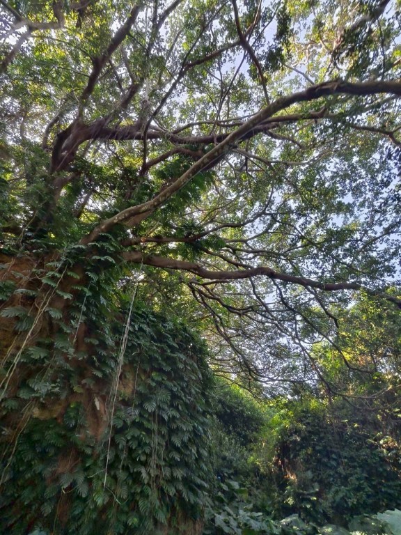 相片album_69253407ef613.jpg圖示