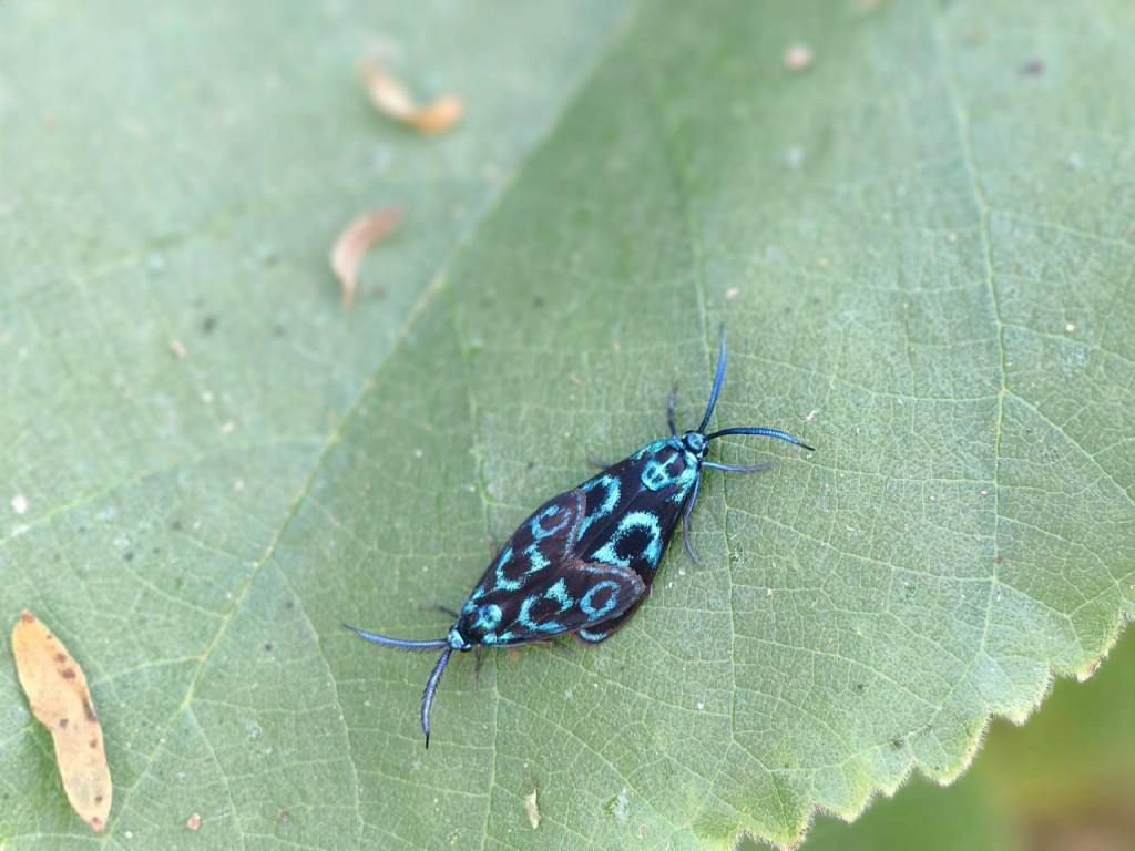 相片album_69253408105ad.jpg圖示