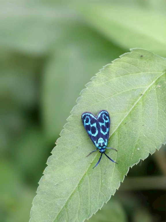 相片album_692534086168c.jpg圖示