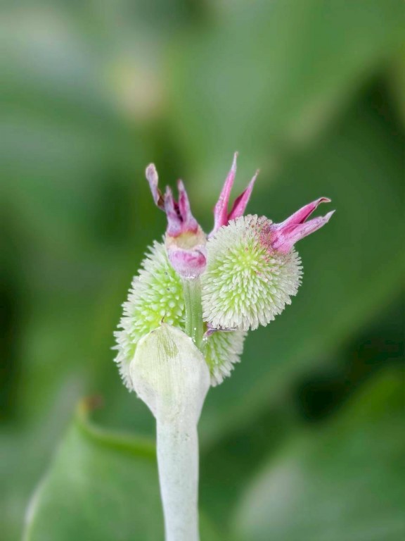 相片album_69253408c096f.jpg圖示