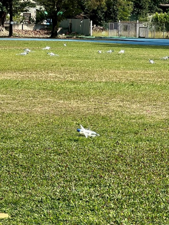 相片album_695b63eced0ed.jpg圖示