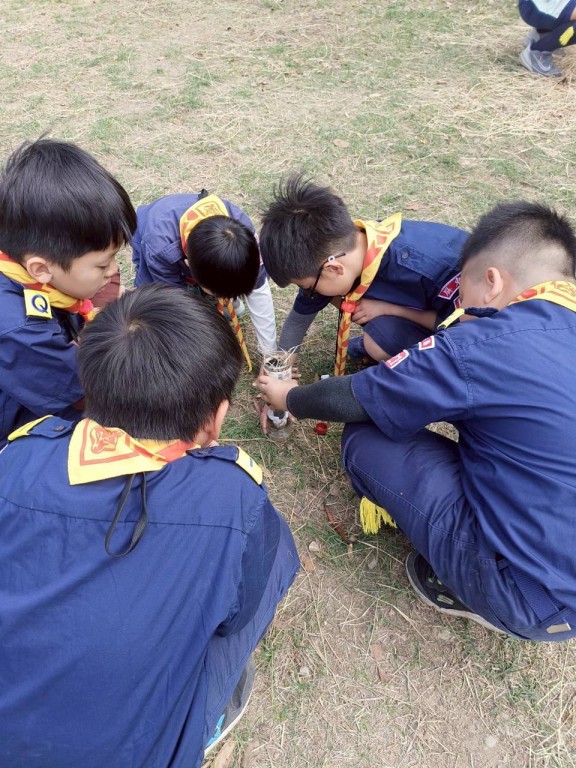 相片album_697c80d7235a1.jpg圖示