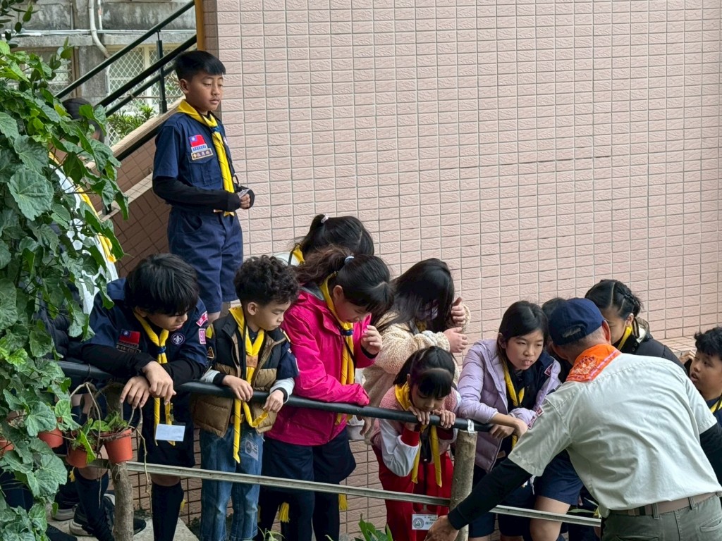 相片album_697c81120a3f8.jpg圖示