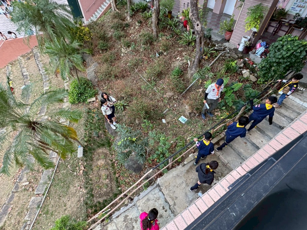 相片album_697c8113e6333.jpg圖示