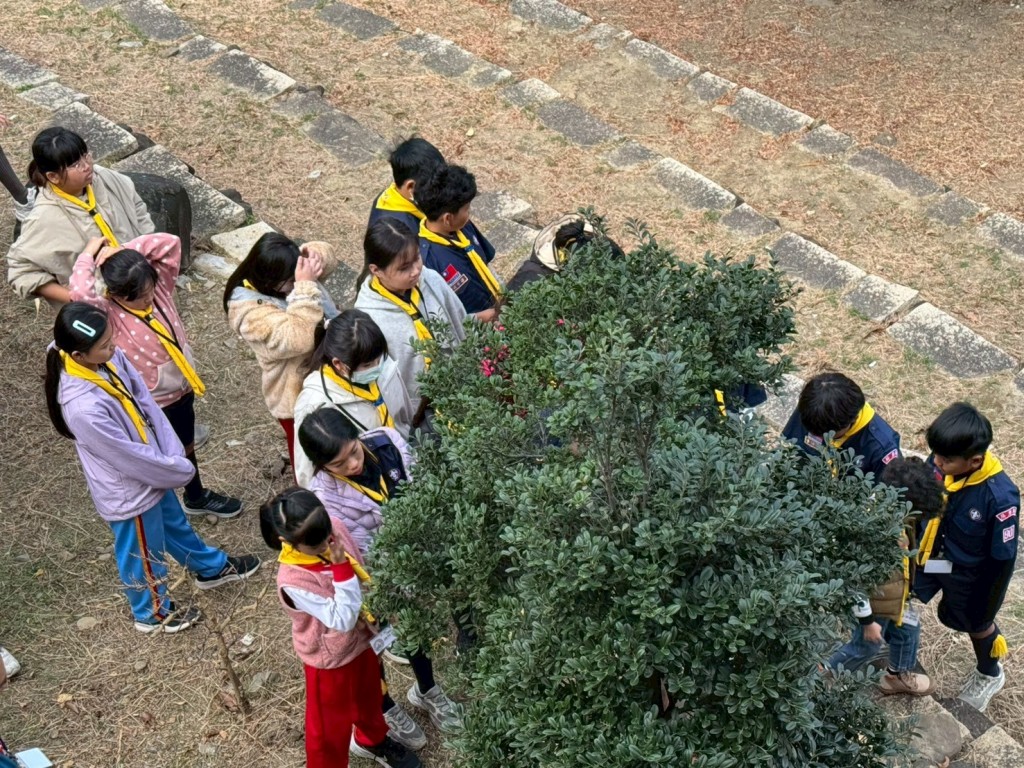 相片album_697c8114120b3.jpg圖示