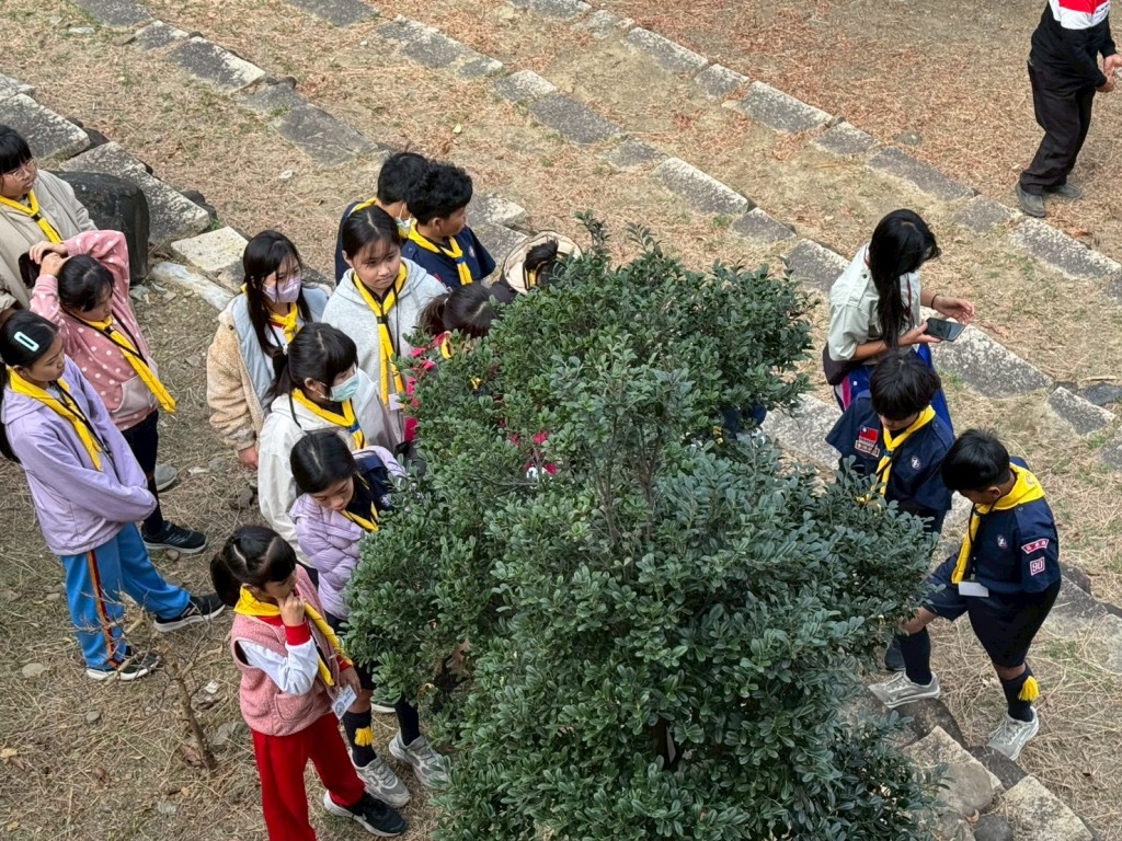 相片album_697c8114153d0.jpg圖示