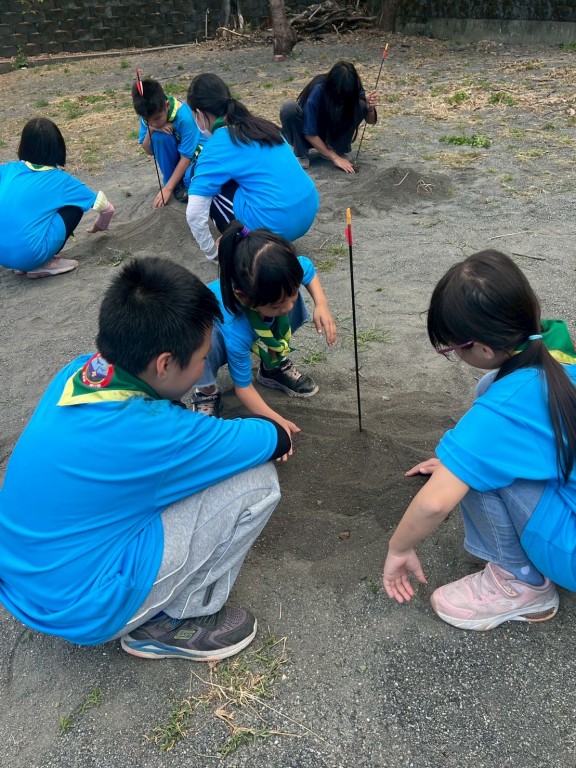 相片album_697c81358b66d.jpg圖示