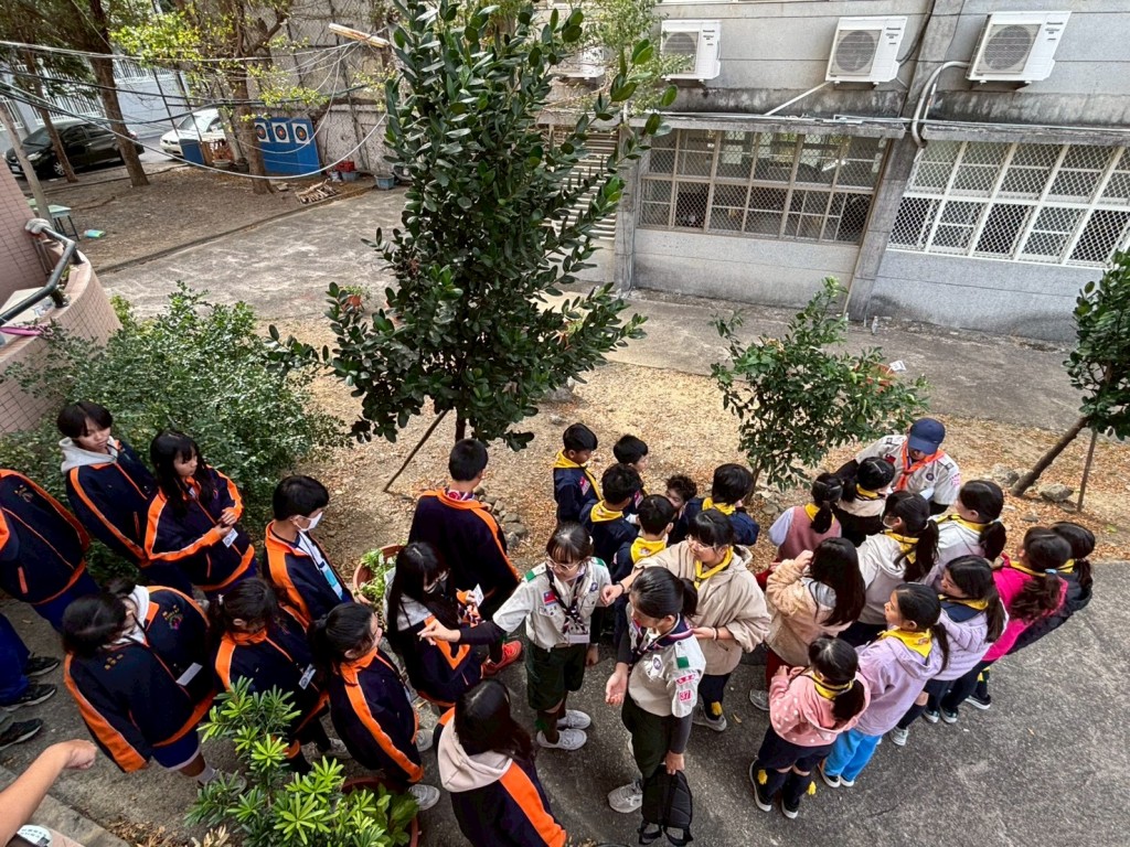 相片album_697c81e75e7b2.jpg圖示