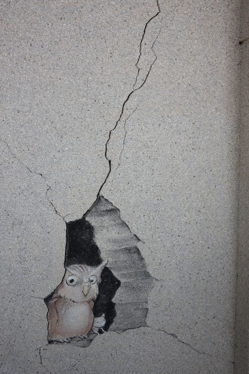 相片album_697c82382bb3e.jpg圖示