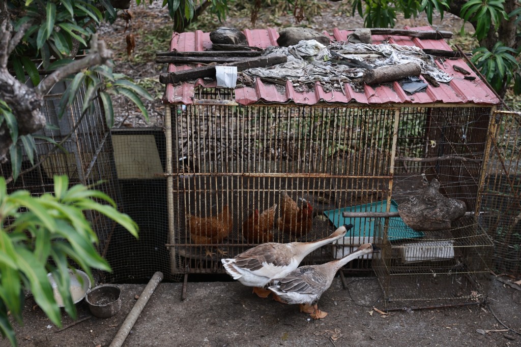 相片album_697c823a89741.jpg圖示