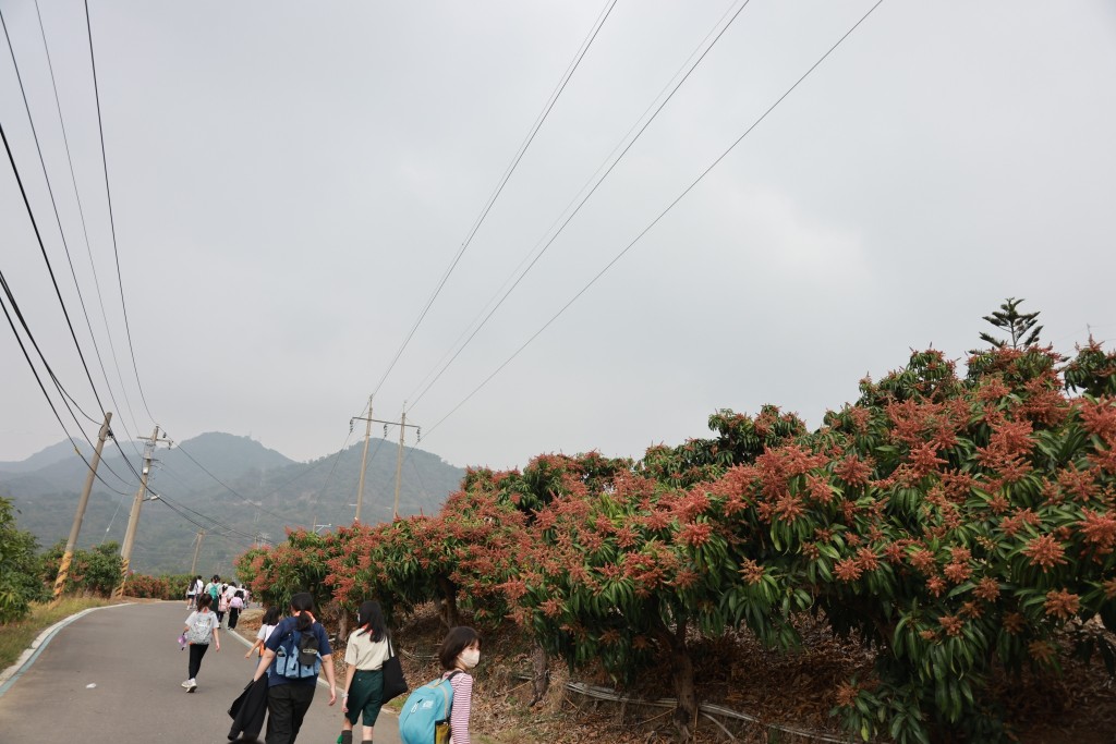 相片album_697c823cc6fa0.jpg圖示