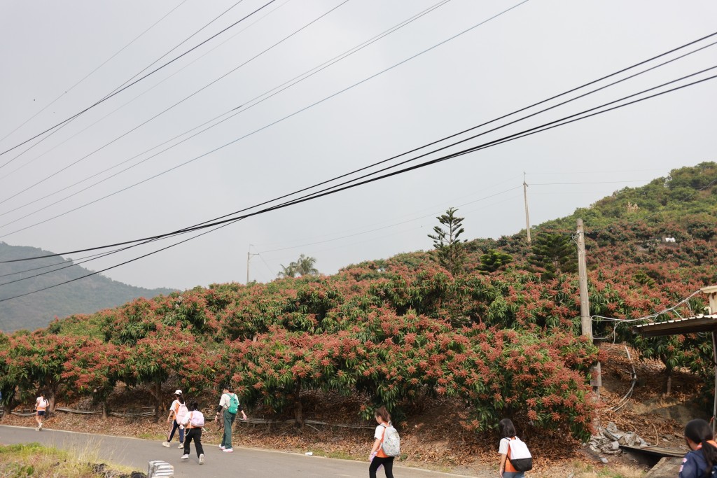 相片album_697c823cc8ee5.jpg圖示